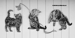 Three Kittens Playing